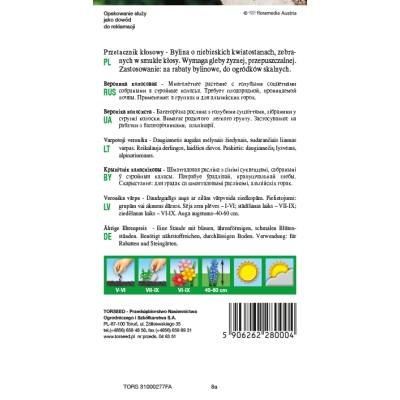 Przetacznik Kłosowy Niebieski Piękny Nasiona